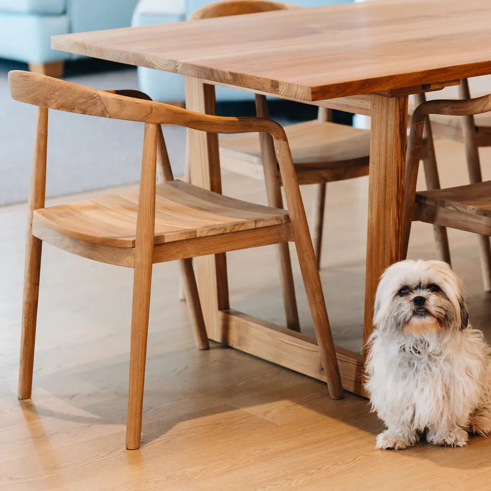 Rue Dining Chair | Stylish & Comfortable | 100% HOME Dimocks