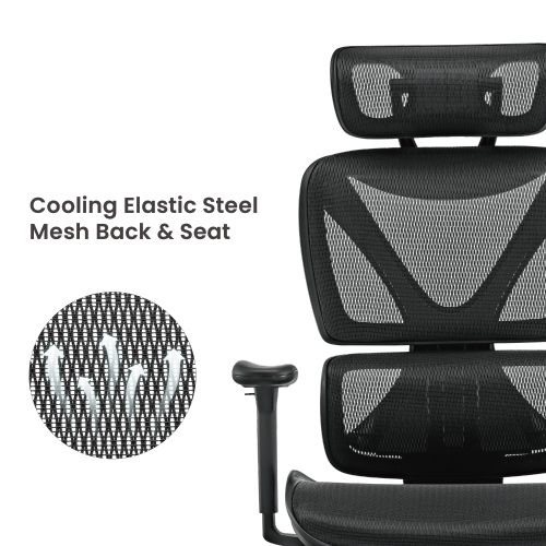 SpineX Ergonomic Office Chair