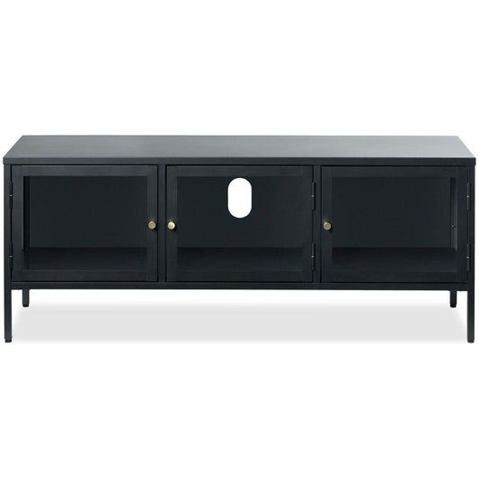 Carmel TV Unit