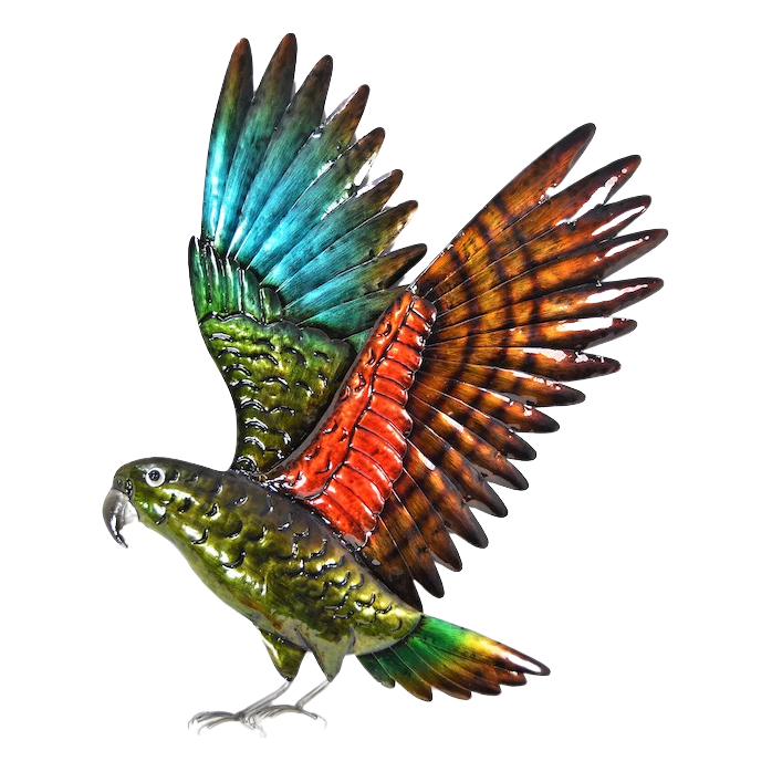 Kea in Flight Metal Wall Art