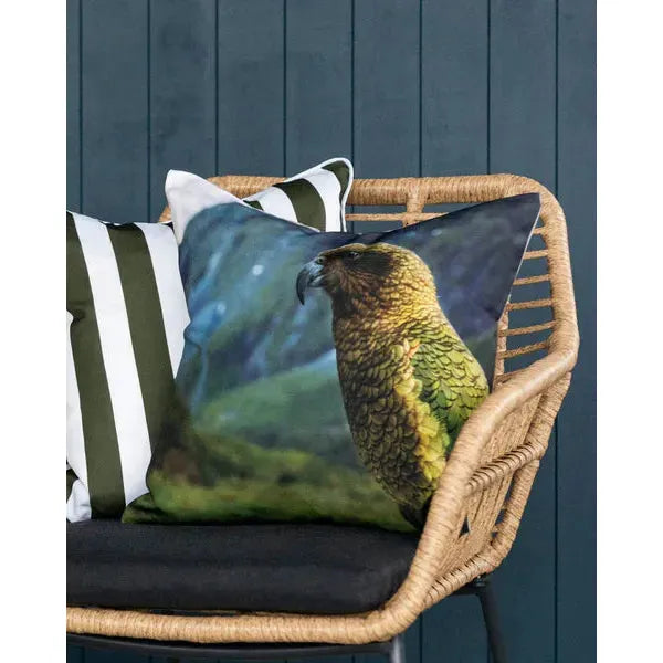 Kea Outdoor Cushion