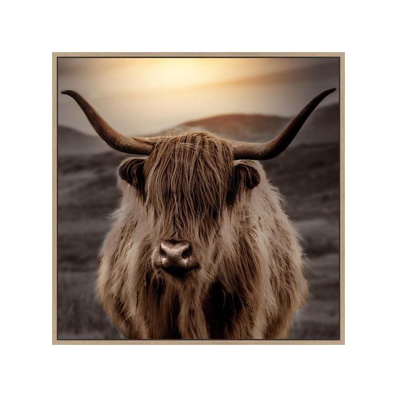 Mane I Framed Canvas