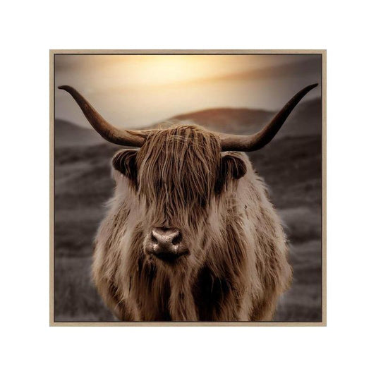 Mane I Framed Canvas