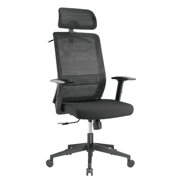 Ergonomic Office Chair with Headrest