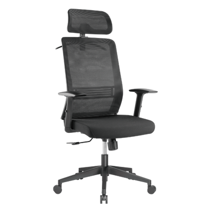 Ergonomic Office Chair with Headrest