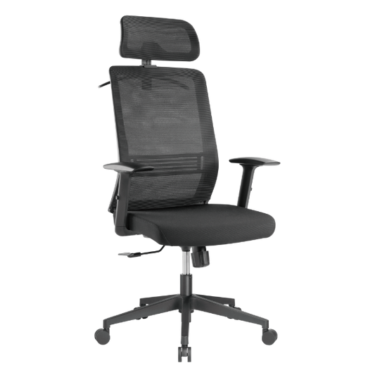 Ergonomic Office Chair with Headrest