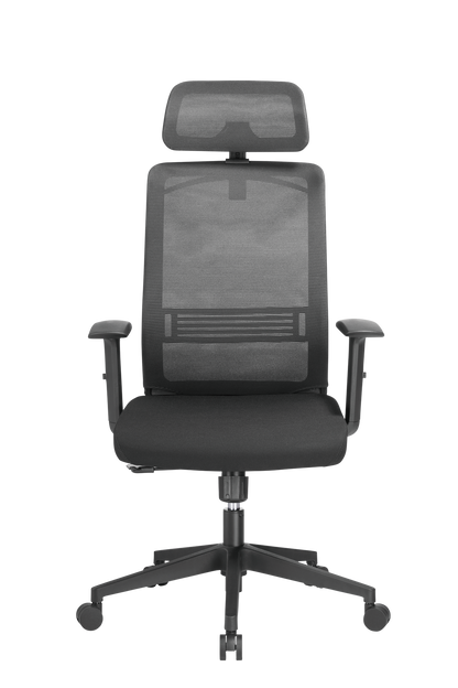 Ergonomic Office Chair with Headrest