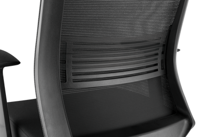 Ergonomic Office Chair with Headrest