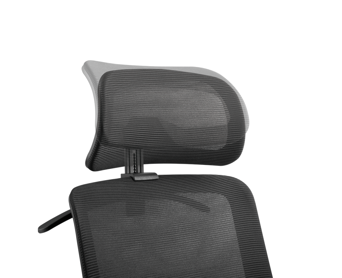 Ergonomic Office Chair with Headrest