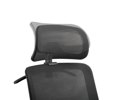 Ergonomic Office Chair with Headrest