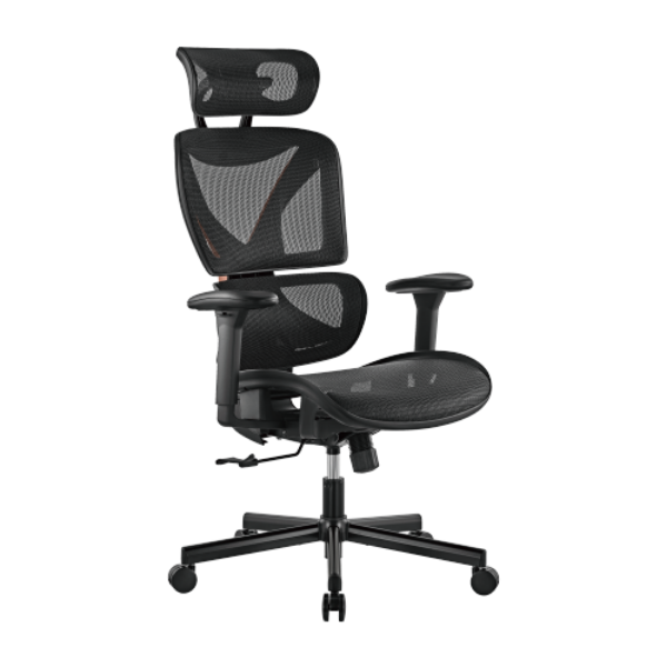 SpineX Ergonomic Office Chair