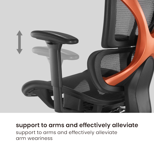 SpineX Ergonomic Office Chair