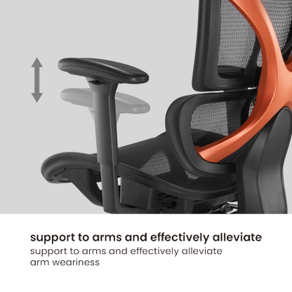 SpineX Ergonomic Office Chair