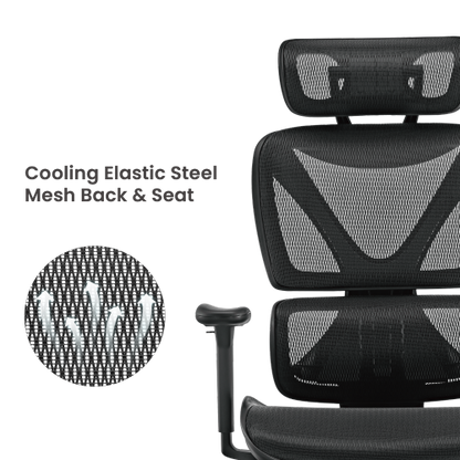 SpineX Ergonomic Office Chair