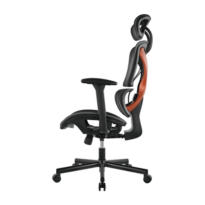 SpineX Ergonomic Office Chair
