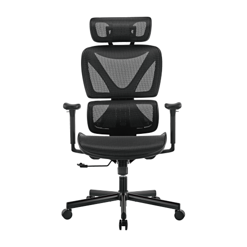 SpineX Ergonomic Office Chair