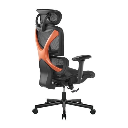SpineX Ergonomic Office Chair