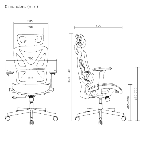 SpineX Ergonomic Office Chair