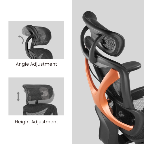 SpineX Ergonomic Office Chair