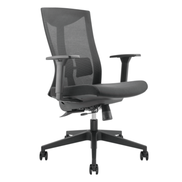 Ergonomic Office Chair