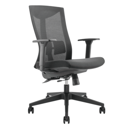 Ergonomic Office Chair