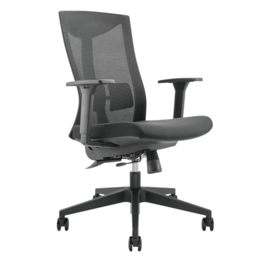 Ergonomic Office Chair