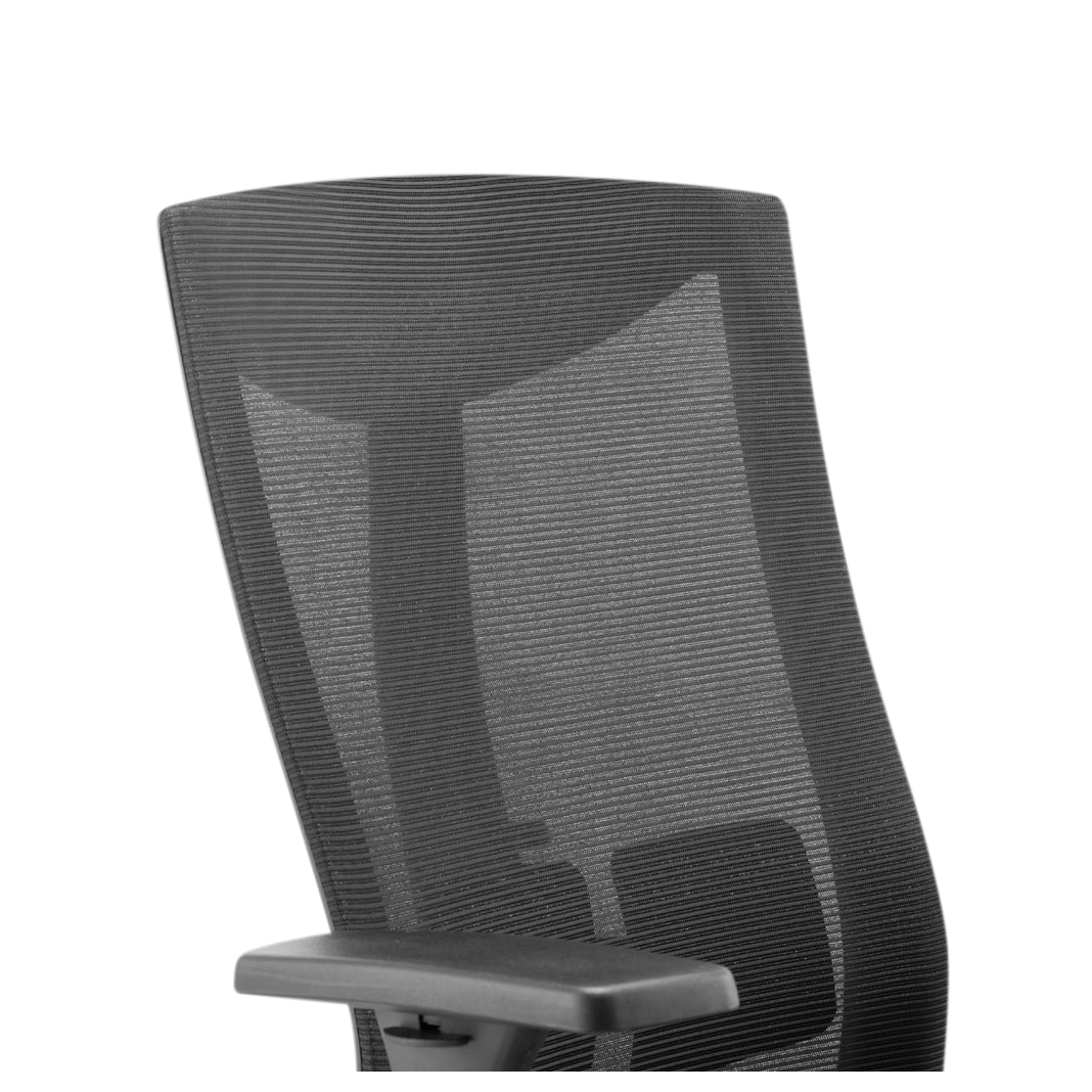 Ergonomic Office Chair