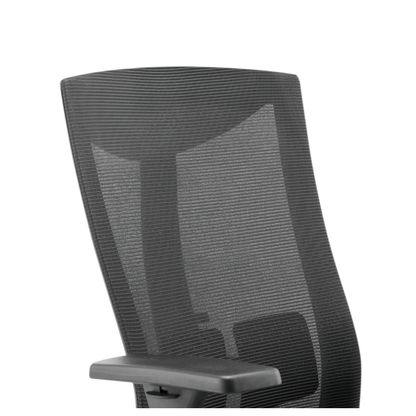 Ergonomic Office Chair