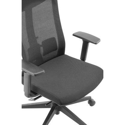 Ergonomic Office Chair