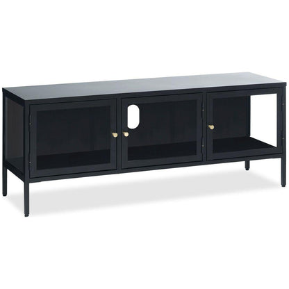 Carmel TV Unit