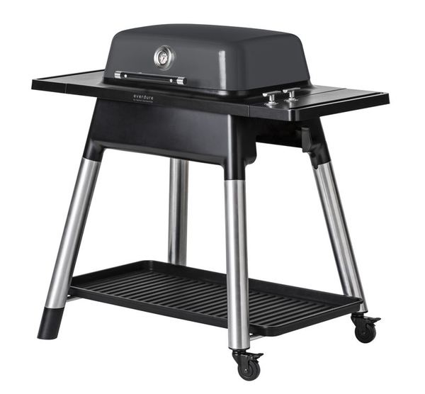 Force 2-Burner Gas Grill