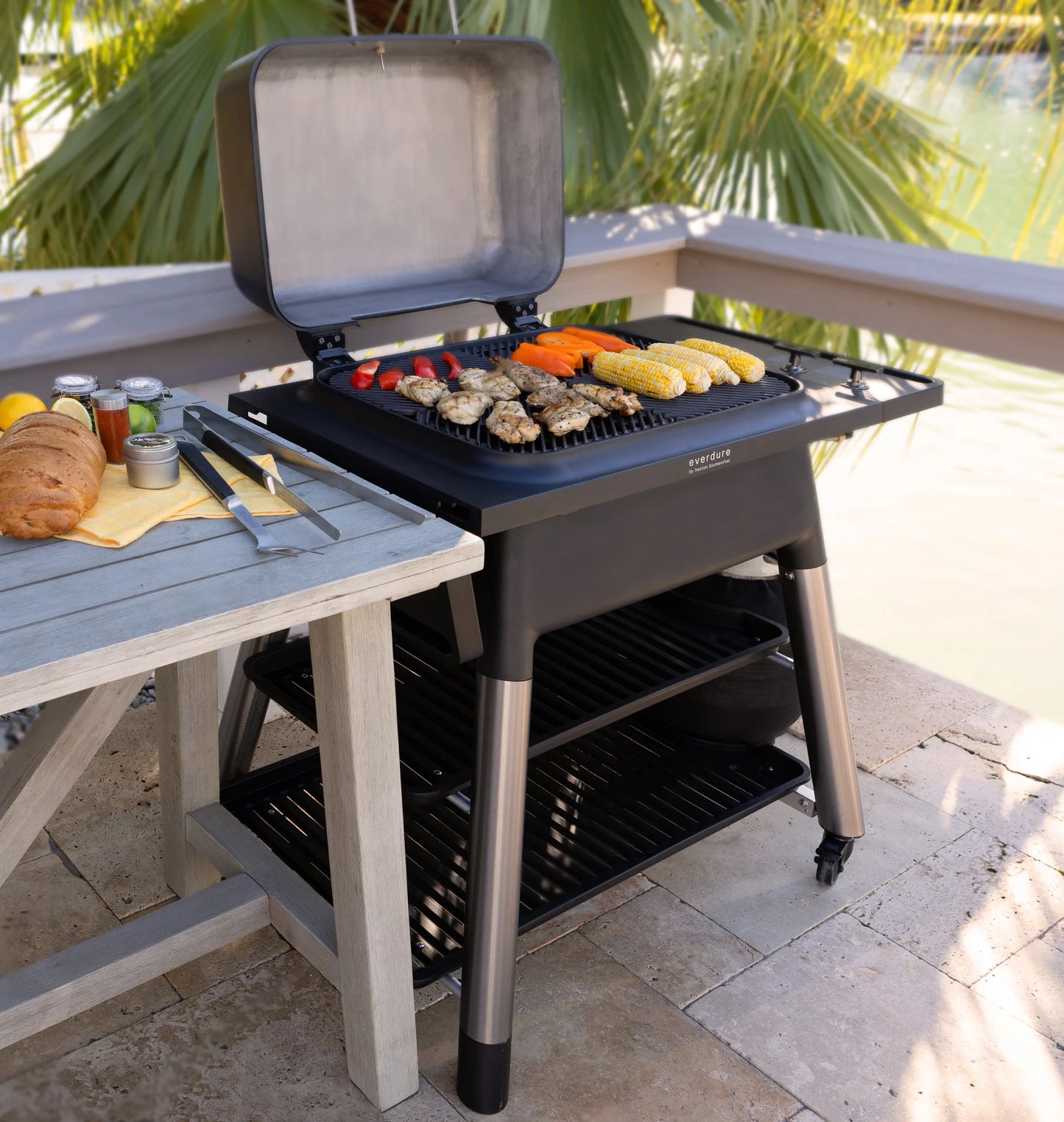 Force 2-Burner Gas Grill