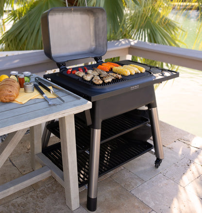 Force 2-Burner Gas Grill