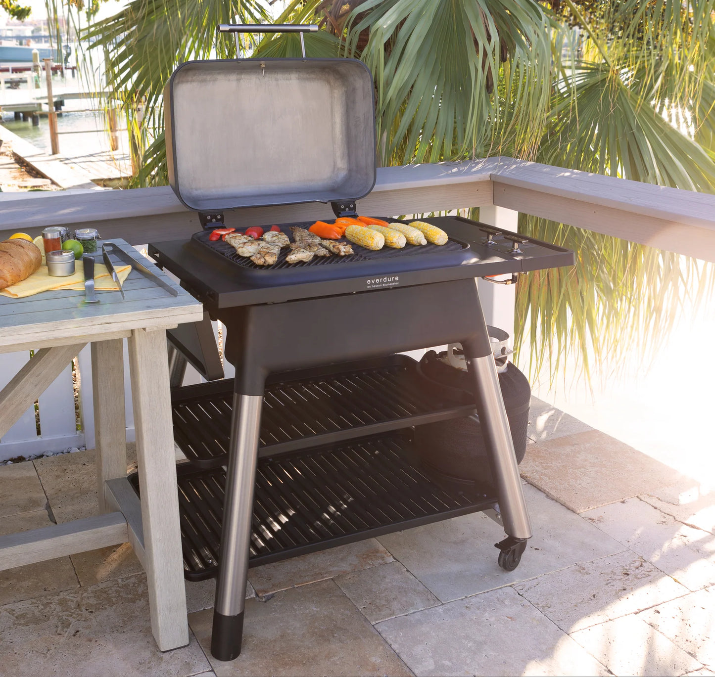 Force 2-Burner Gas Grill
