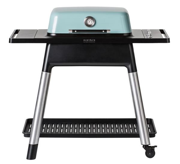 Force 2-Burner Gas Grill